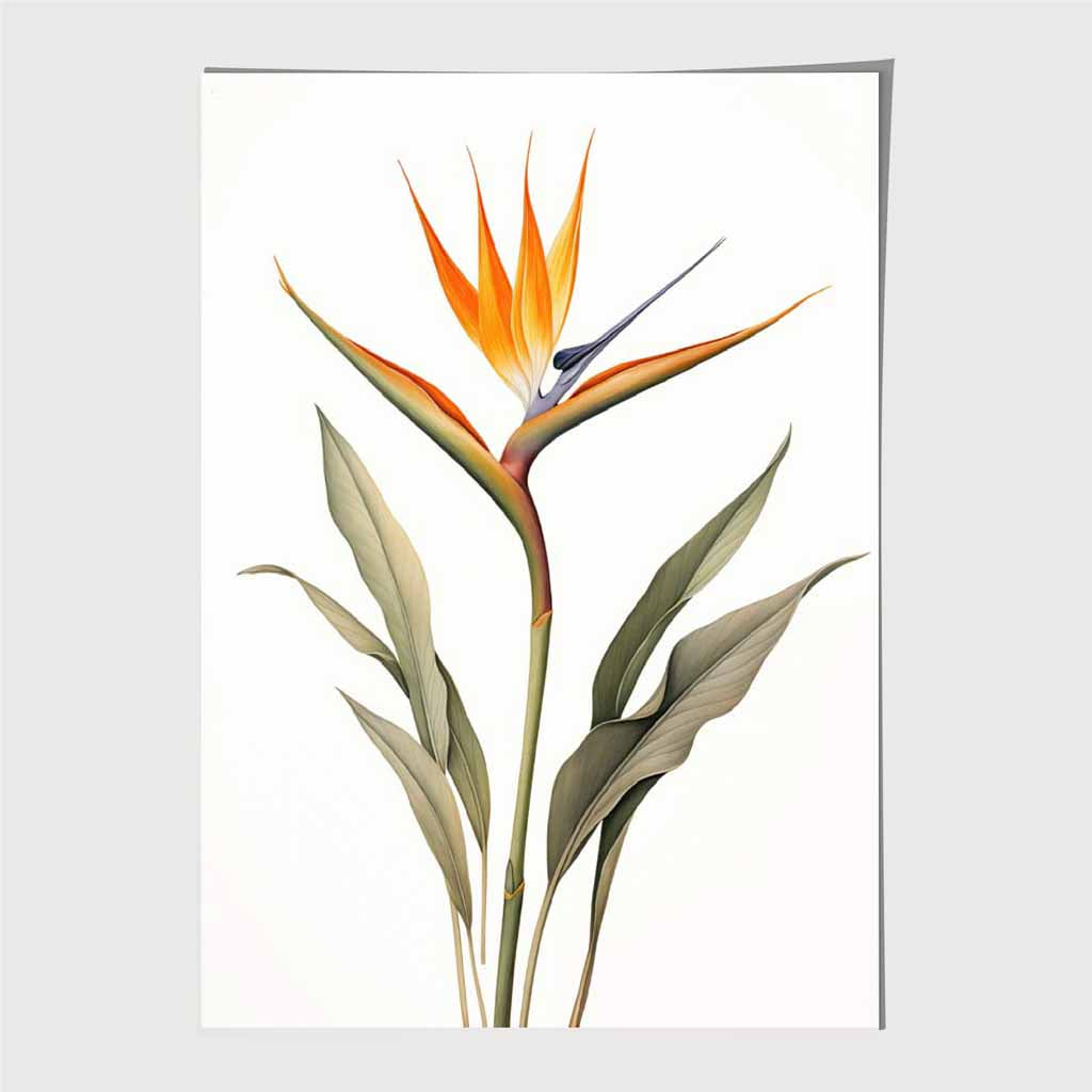 Vintage Illustration Green, Orange Paradise Flower Art Print | Wall Art Plaza