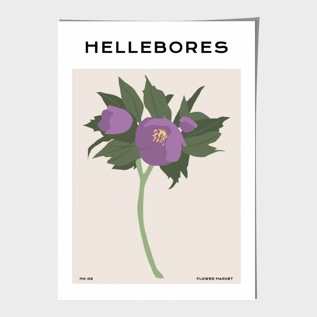 Boho Floral Purple, Beige Hellebores Flower Art Print | Wall Art Plaza UK