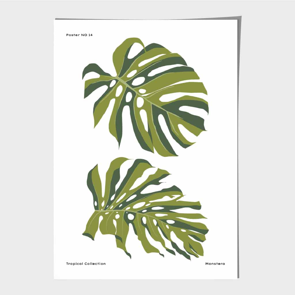 Minimal Green, Tropical Monstera Art Print | Wall Art Plaza UK