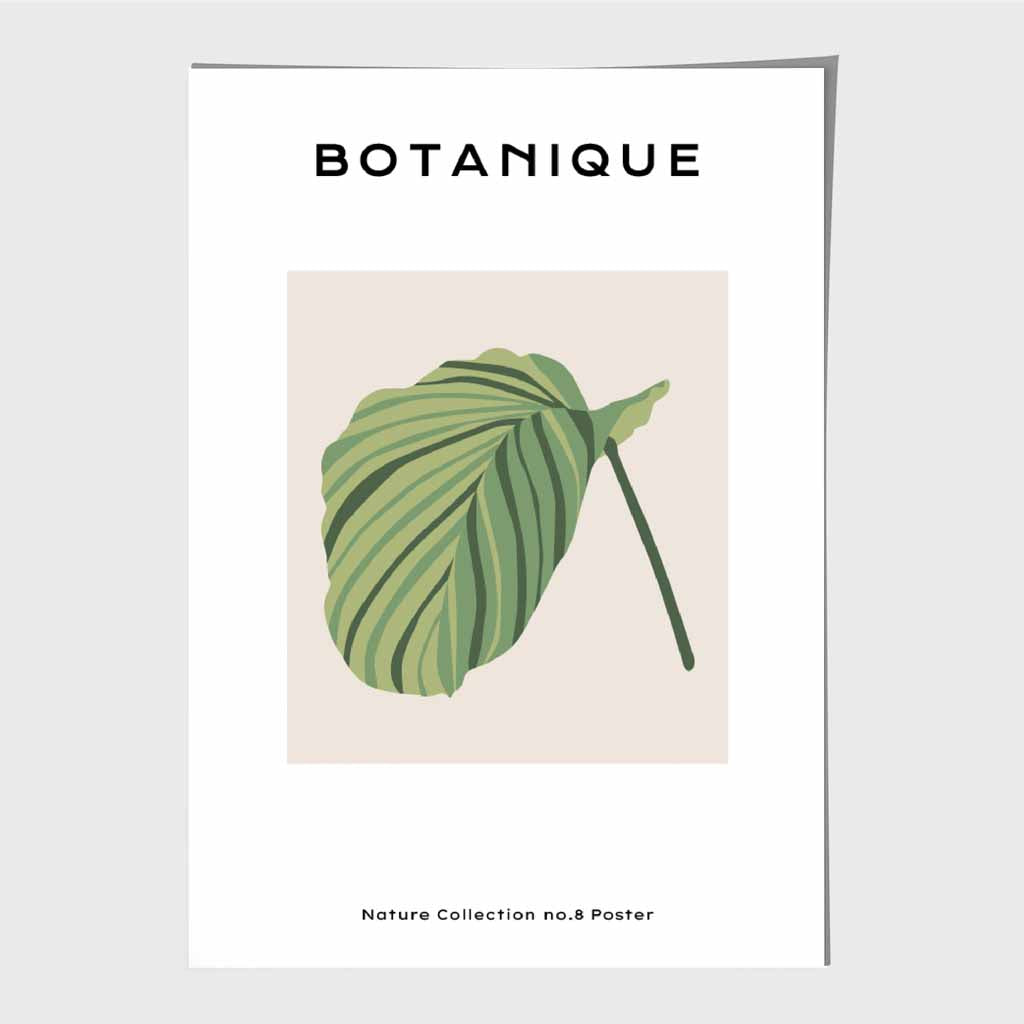 Minimal Tropical Green, Beige Calathea Prayer Plant Art Poster | Wall Art Plaza UK