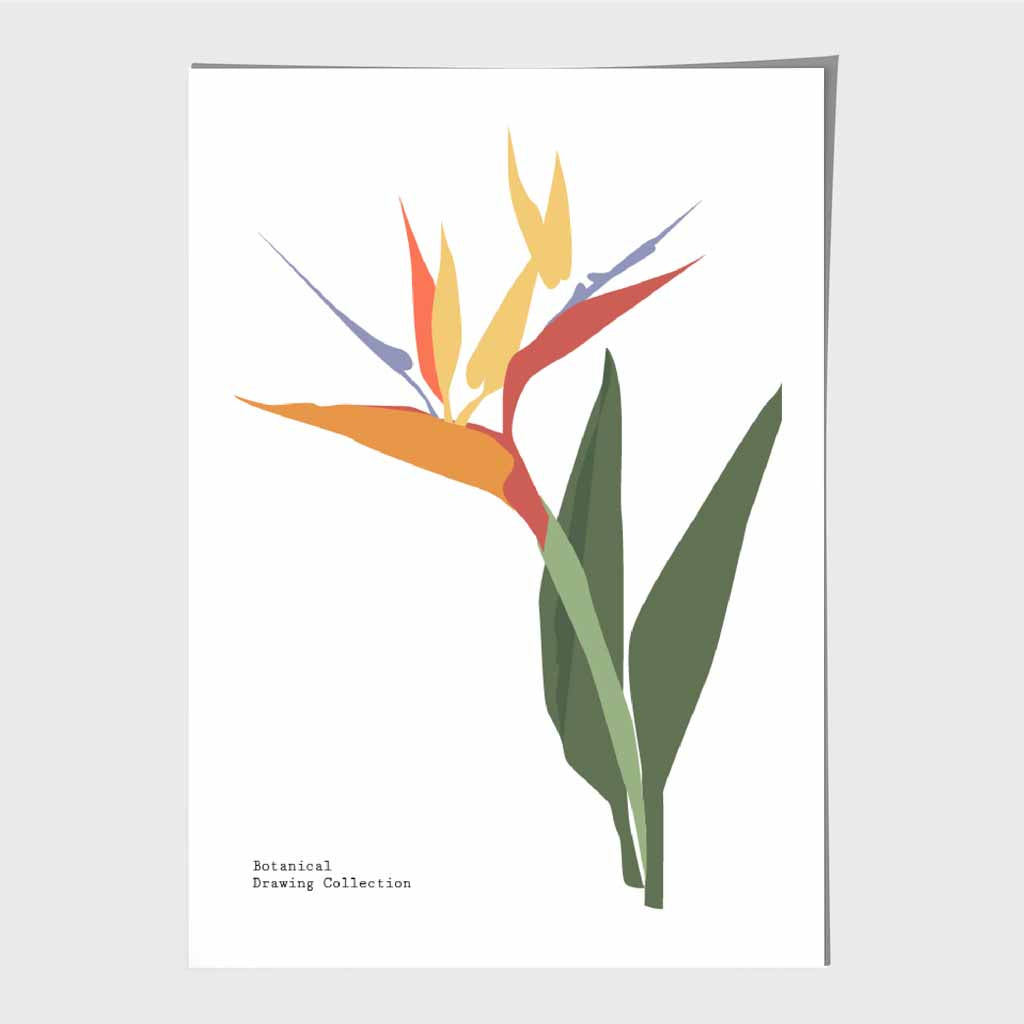 Minimal Tropical Green, Colourful Paradise Flower Art Print | Wall Art Plaza UK