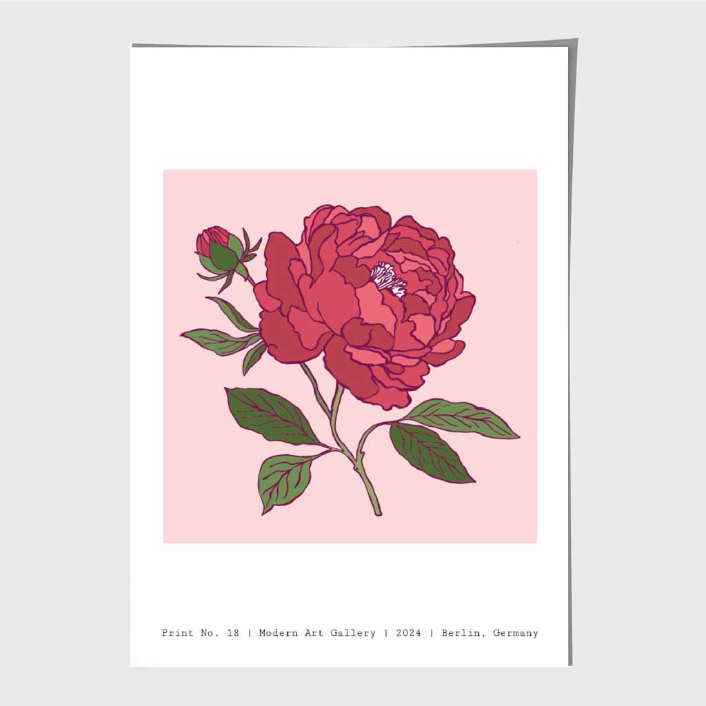 Modern Floral Pink, Berlin Rose Art Poster | Wall Art Plaza UK