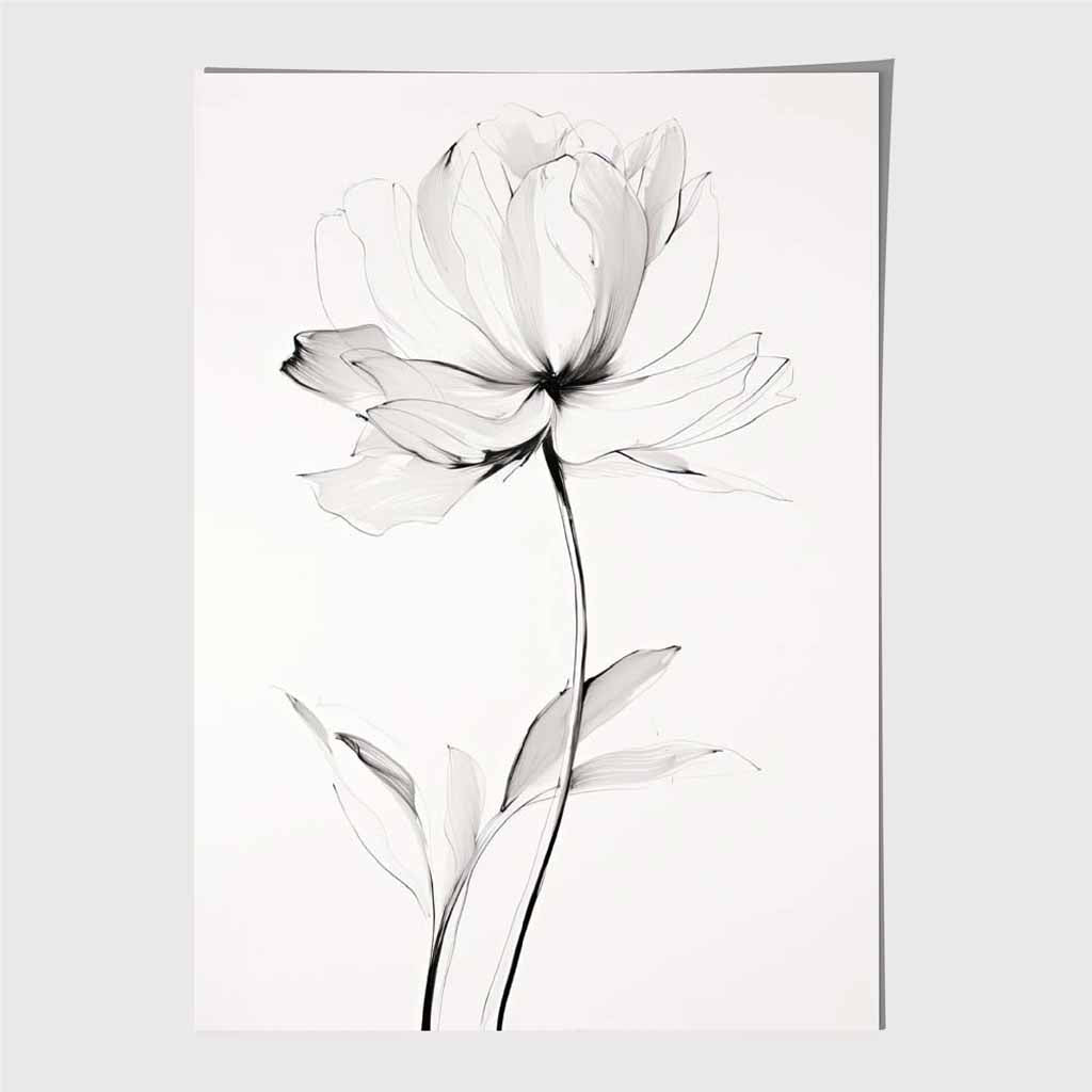 Floral Illustration Black, Grey Peony Art Print | Wall Art Plaza UK