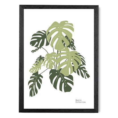 Minimal Green,  Exotic Monstera Art Print | Wall Art Plaza UK