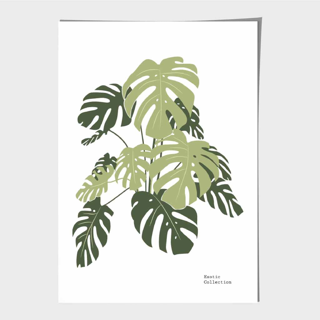 Minimal Green,  Exotic Monstera Art Print | Wall Art Plaza UK