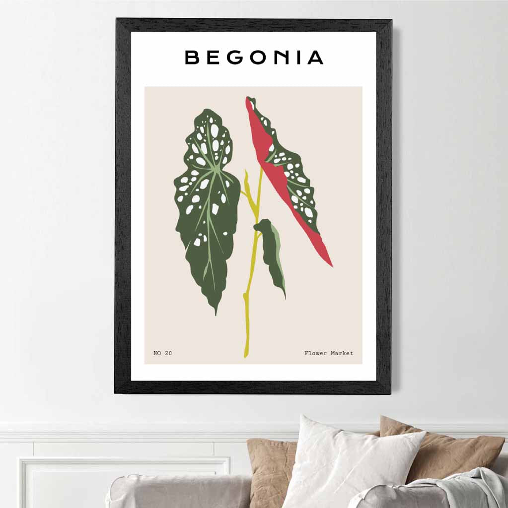 Modern Floral Beige, Green Begonia Maculata Art Poster | Wall Art Plaza UK