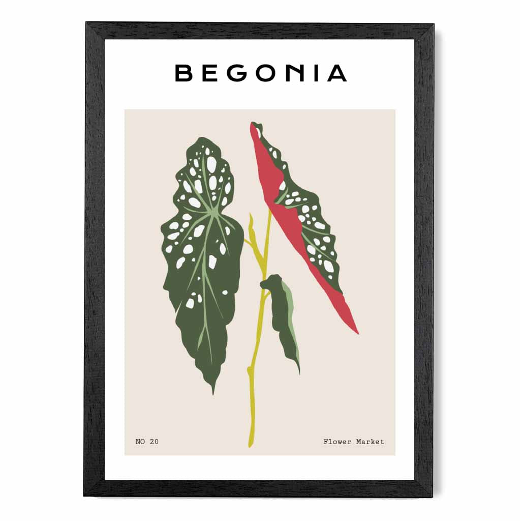 Modern Floral Beige, Green Begonia Maculata Art Poster | Wall Art Plaza UK