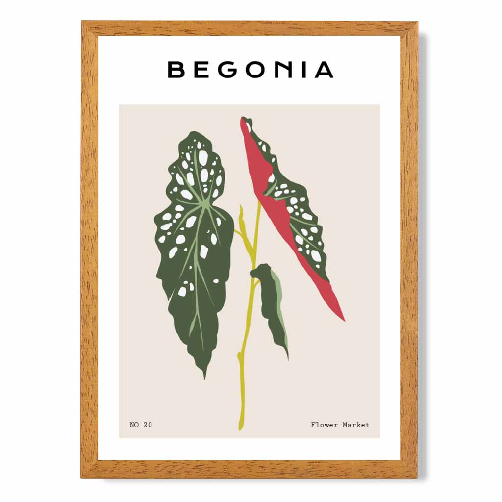 Modern Floral Beige, Green Begonia Maculata Art Poster | Wall Art Plaza UK