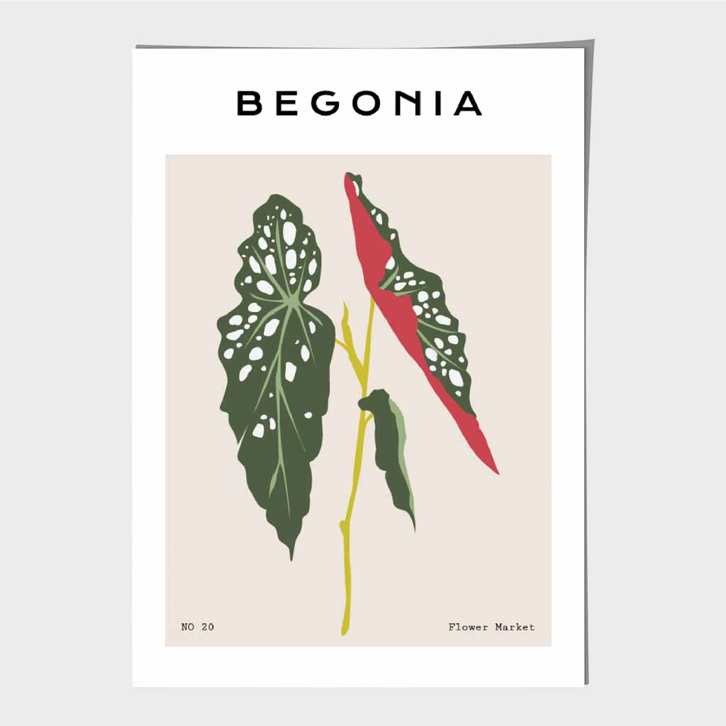 Modern Floral Beige, Green Begonia Maculata Art Poster | Wall Art Plaza UK