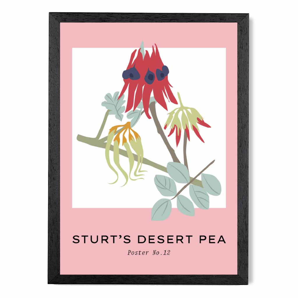 Simple Floral Pink, Colourful Sturt's Desert Pea Art Print | Wall Art Plaza UK