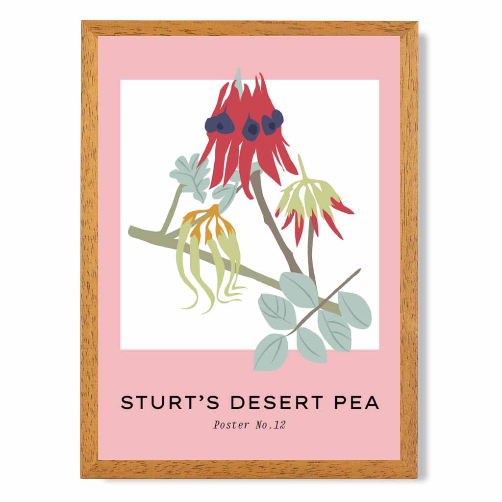 Simple Floral Pink, Colourful Sturt's Desert Pea Art Print | Wall Art Plaza UK