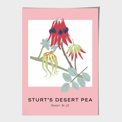 Simple Floral Pink, Colourful Sturt's Desert Pea Art Print | Wall Art Plaza UK