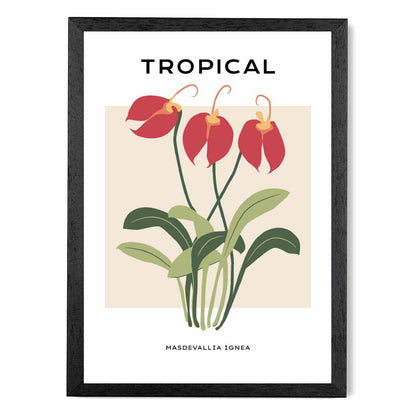 Tropical Floral Red, Green Masdevallia Flower Art Print | Wall Art Plaza UK