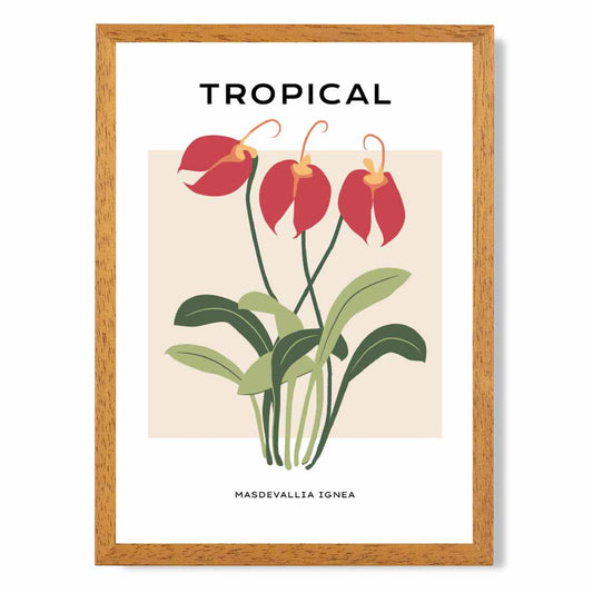 Tropical Floral Red, Green Masdevallia Flower Art Print | Wall Art Plaza UK