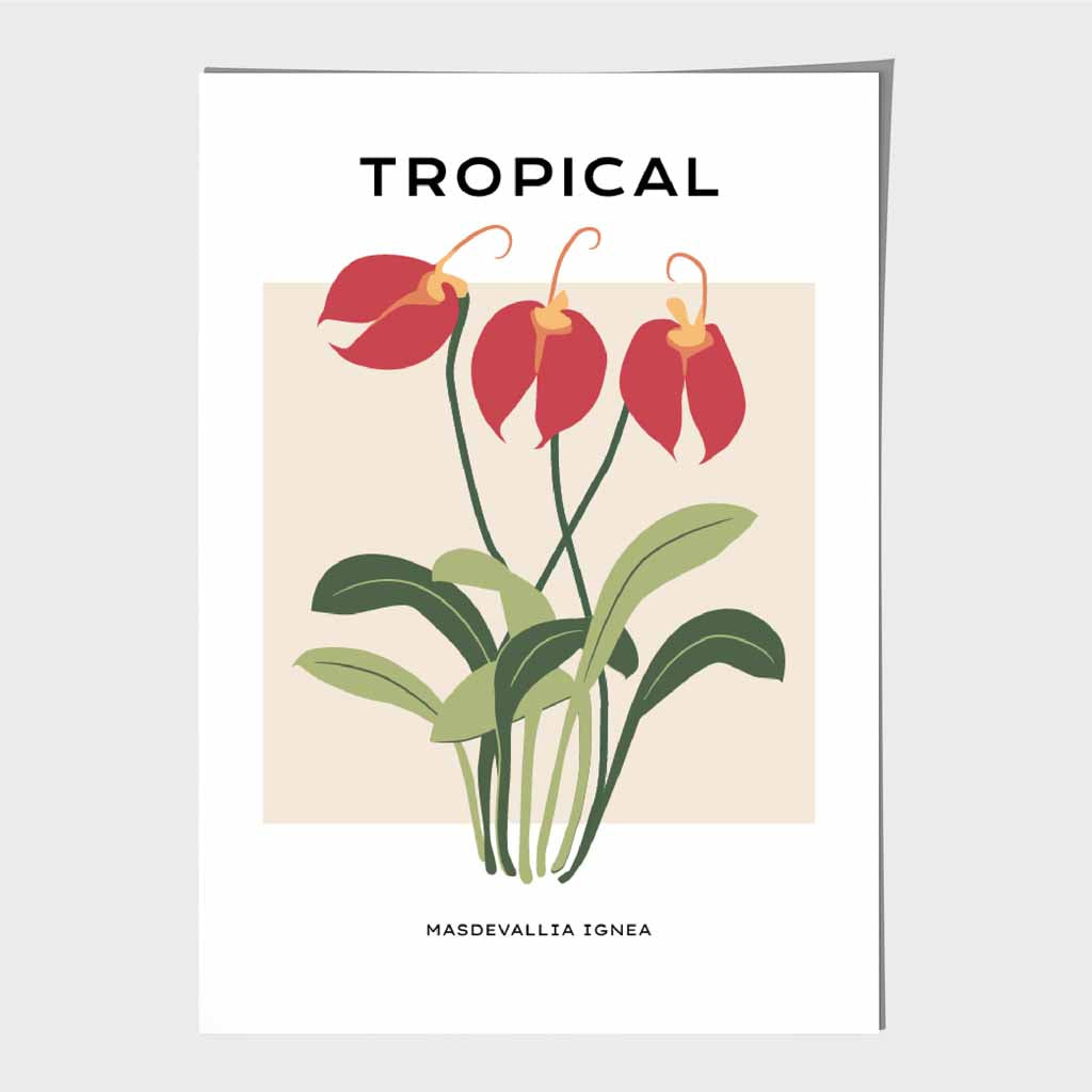 Tropical Floral Red, Green Masdevallia Flower Art Print | Wall Art Plaza UK