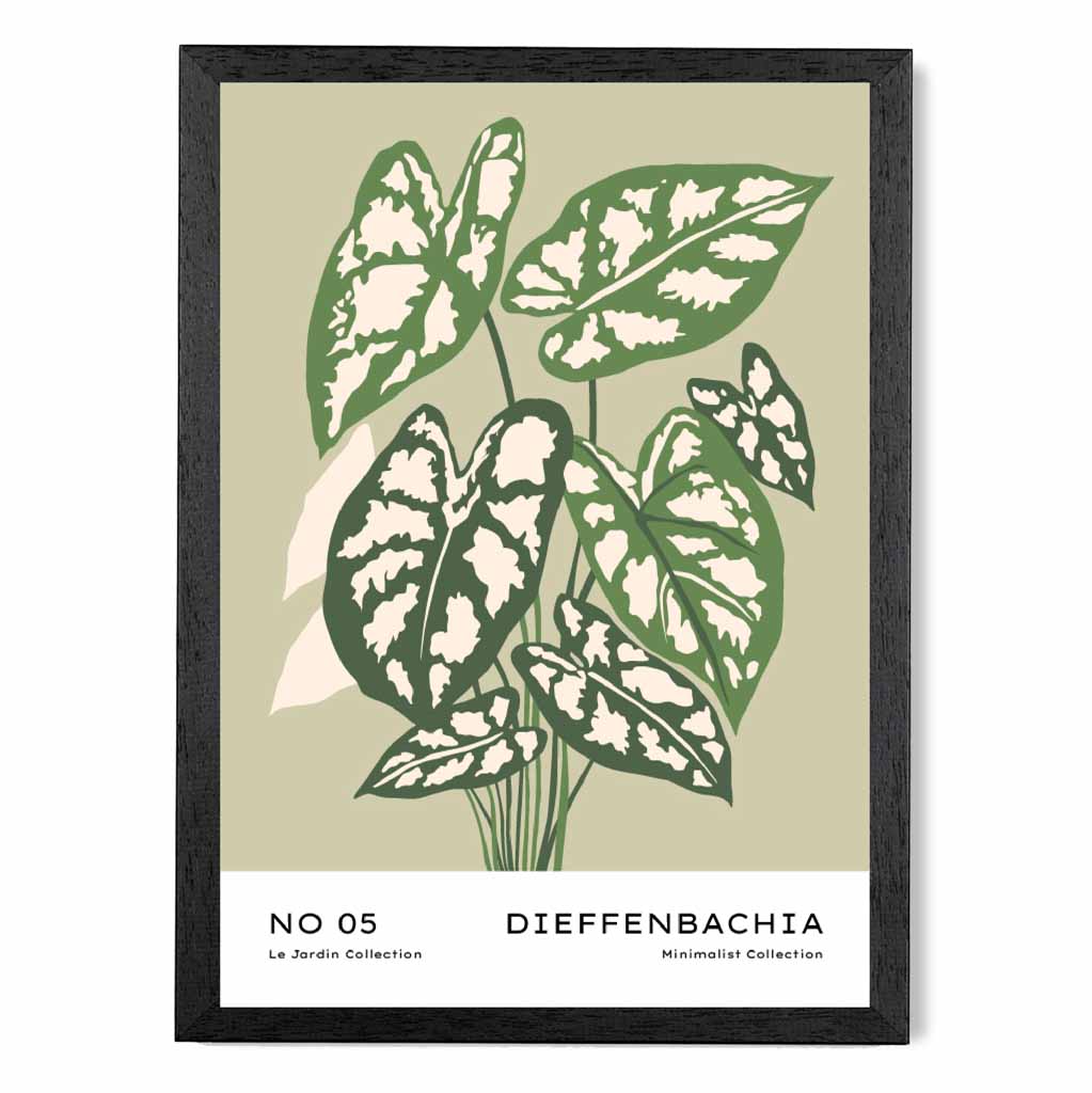 Boho Floral Green,  Cane Plant Art Poster | Wall Art Plaza UK