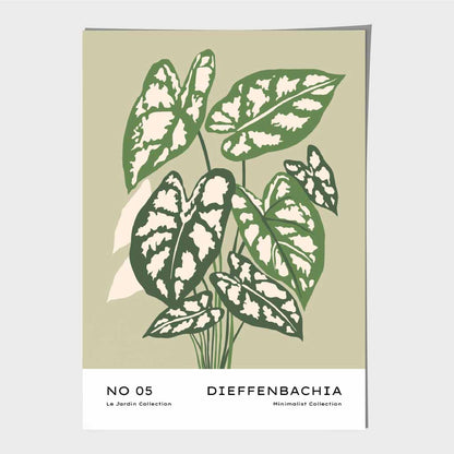 Boho Floral Green,  Cane Plant Art Poster | Wall Art Plaza UK