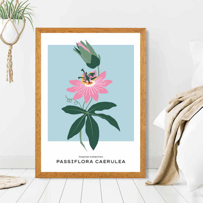 Modern Floral Blue, Pink Passion Flower Art Print | Wall Art Plaza UK