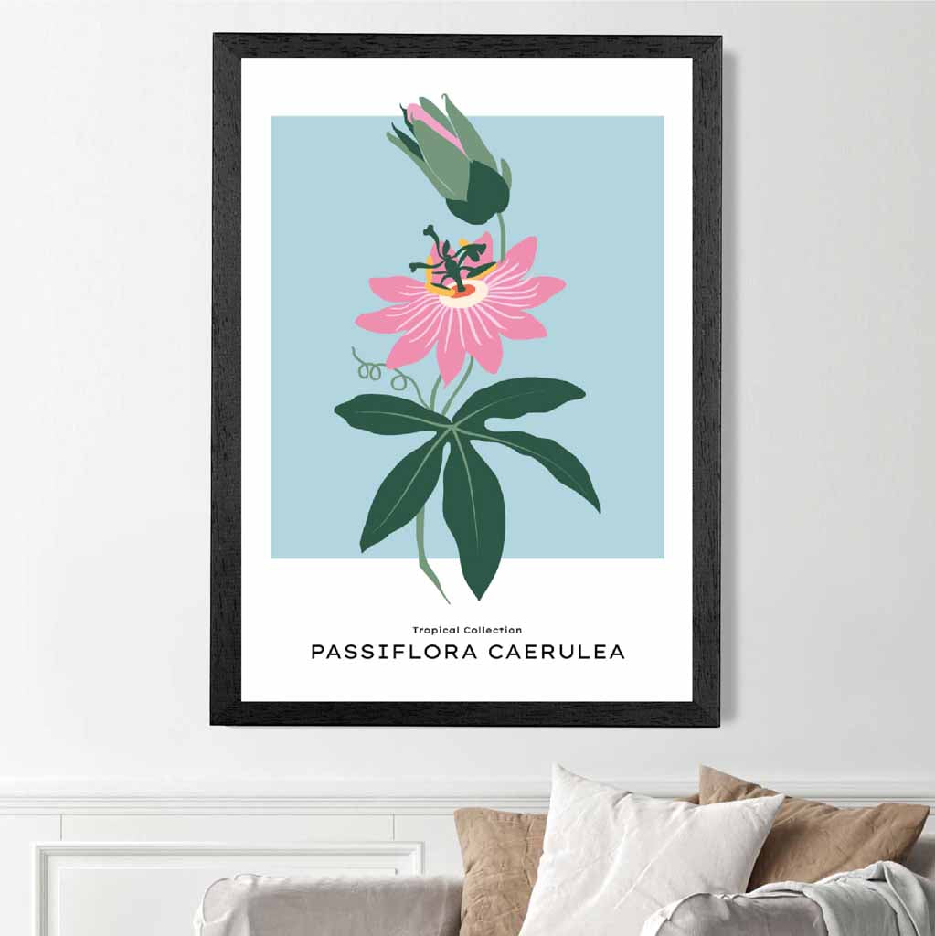 Modern Floral Blue, Pink Passion Flower Art Print | Wall Art Plaza UK