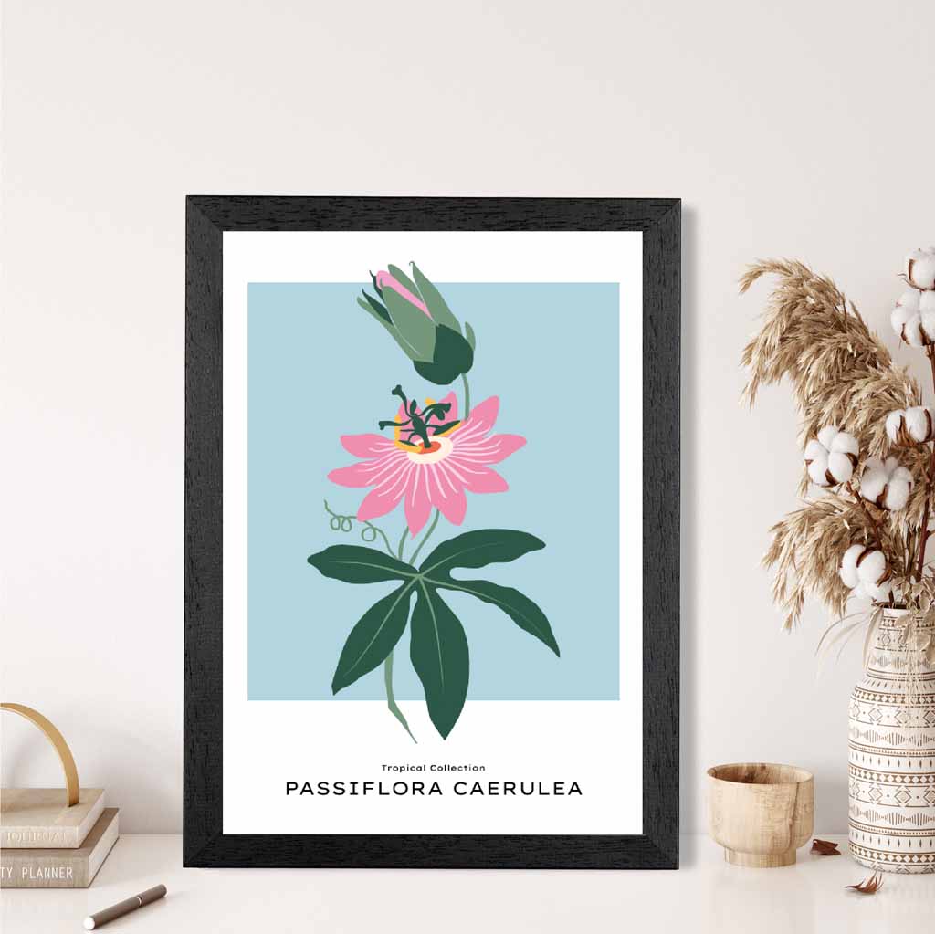 Modern Floral Blue, Pink Passion Flower Art Print | Wall Art Plaza UK