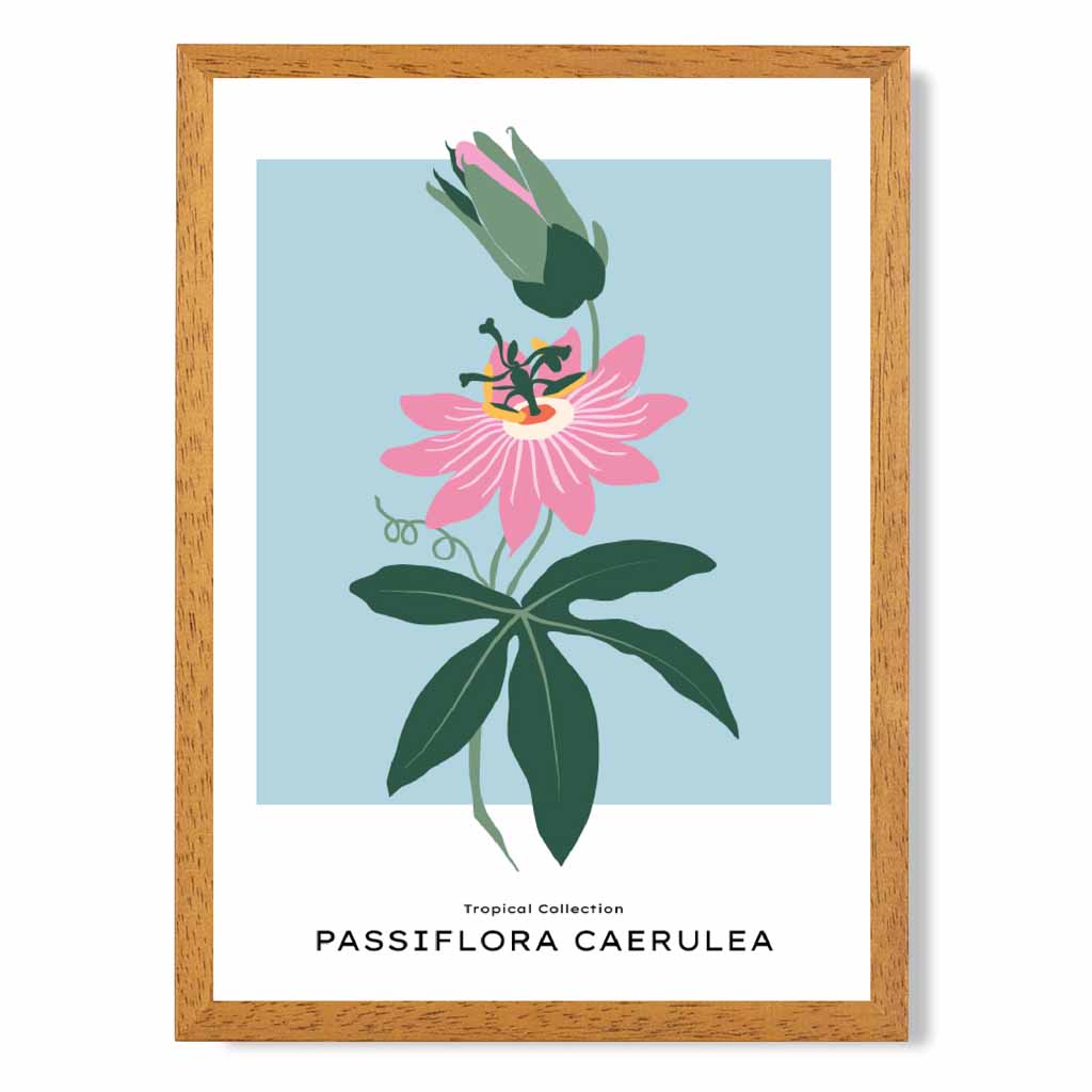 Modern Floral Blue, Pink Passion Flower Art Print | Wall Art Plaza UK