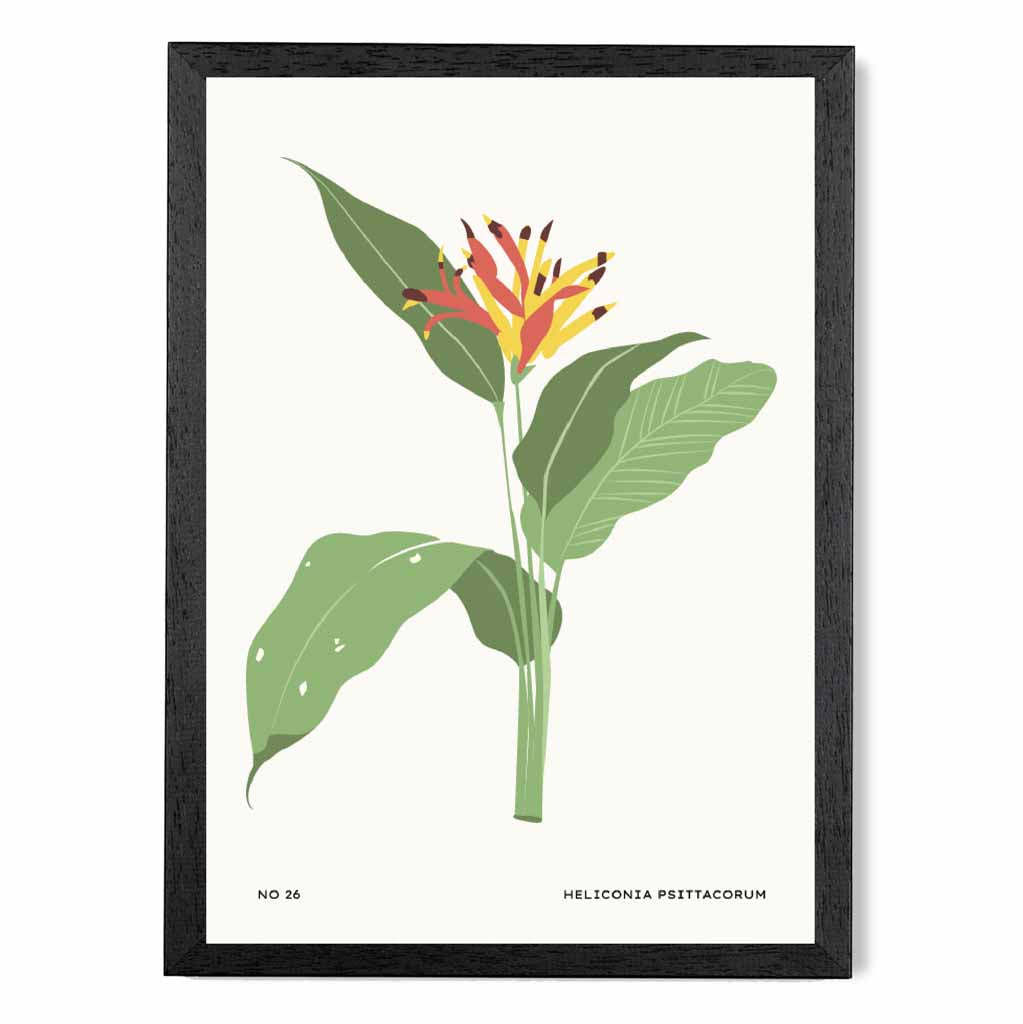 Modern Floral Green, Yellow Parakeet Flower Art Print | Wall Art Plaza UK