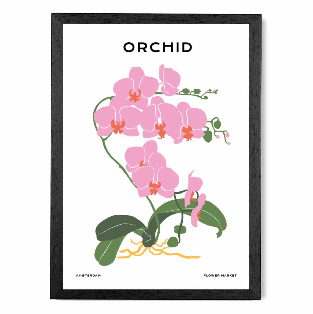 Minimal Pink, Green Amsterdam Orchid Art Print | Wall Art Plaza UK