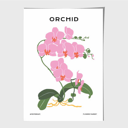 Minimal Pink, Green Amsterdam Orchid Art Print | Wall Art Plaza UK