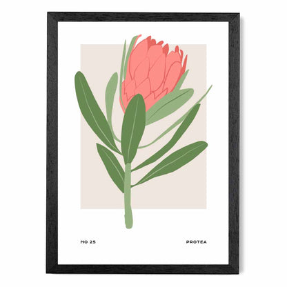 Exotic Floral Green, Pink Sugar Bush Flower Art Poster | Wall Art Plaza UK