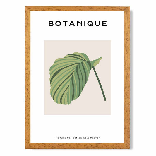 Minimal Tropical Green, Beige Calathea Prayer Plant Art Poster | Wall Art Plaza UK