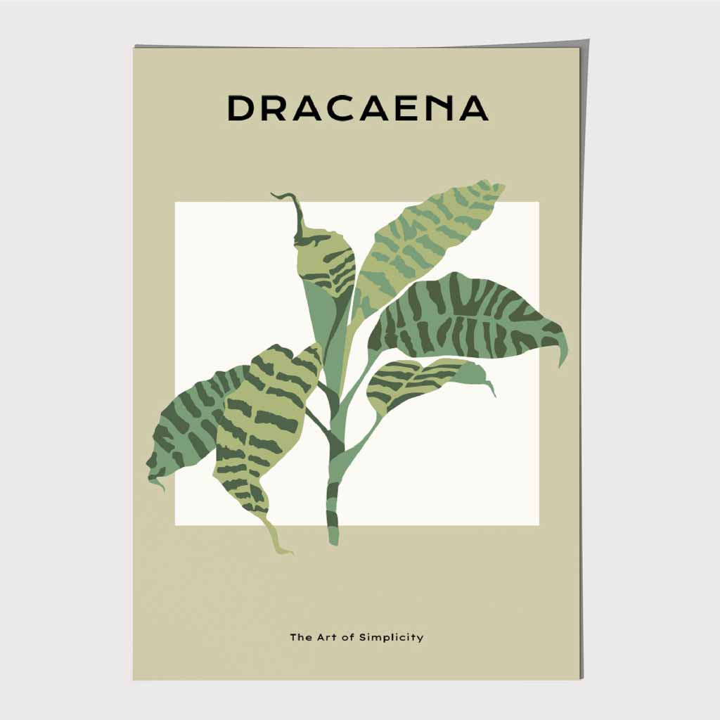 Minimal Tropical Green,  Dracaena Palm Art Print | Wall Art Plaza UK