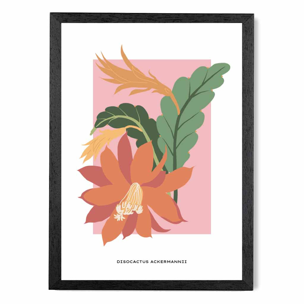 Minimal Tropical Pink, Colourful Red Orchid Cactus Art Print | Wall Art Plaza UK