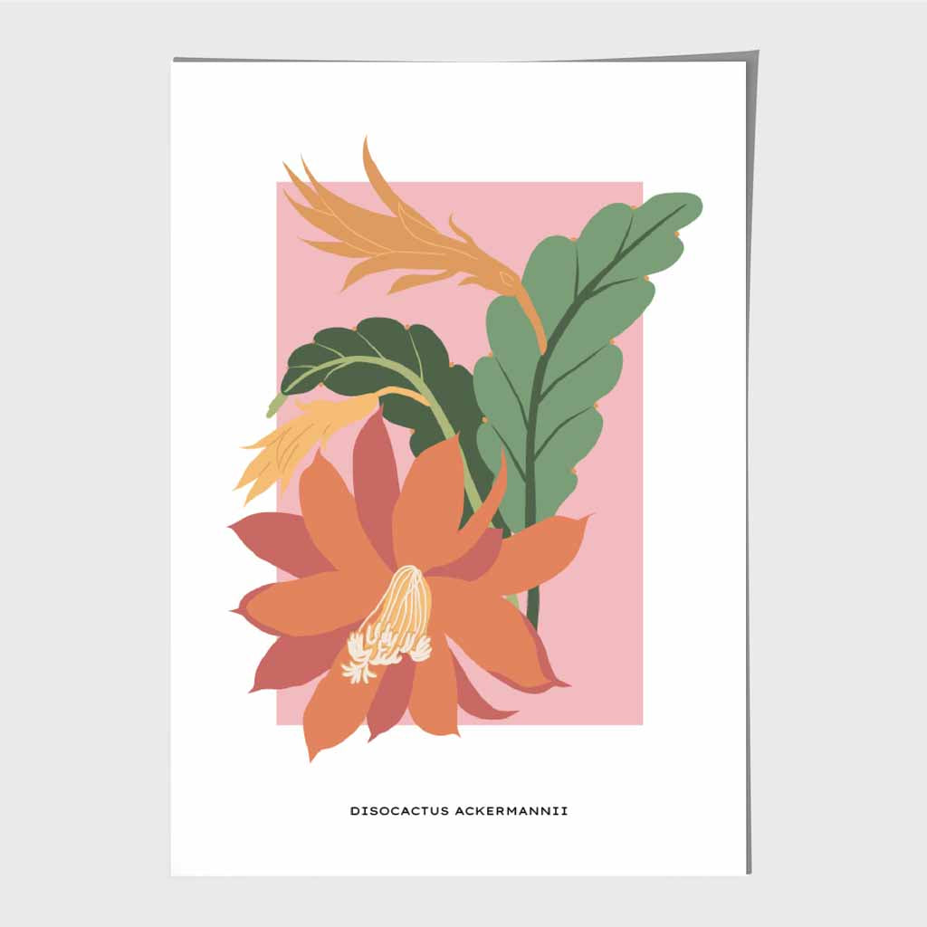 Minimal Tropical Pink, Colourful Red Orchid Cactus Art Print | Wall Art Plaza UK