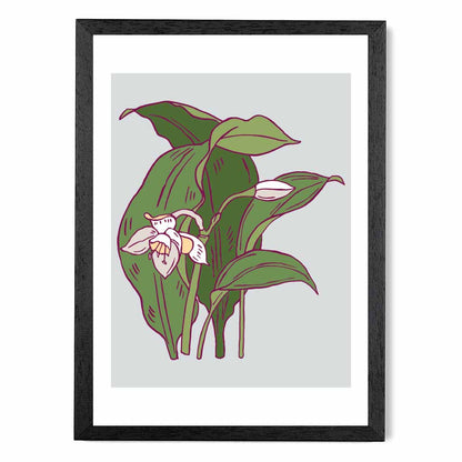 Vintage Floral Grey, Green Snowdrop Art Poster | Wall Art Plaza UK