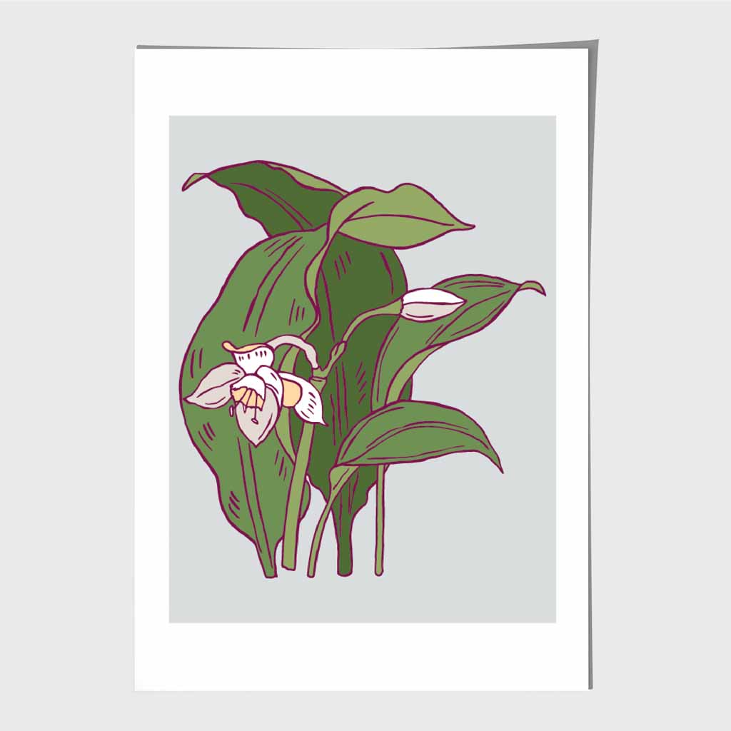 Vintage Floral Grey, Green Snowdrop Art Poster | Wall Art Plaza UK