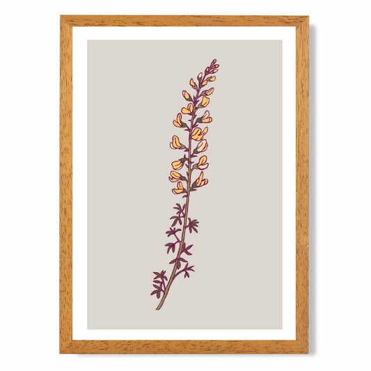 Vintage Floral Beige, Yellow Cytisus Flower Art Print | Wall Art Plaza UK