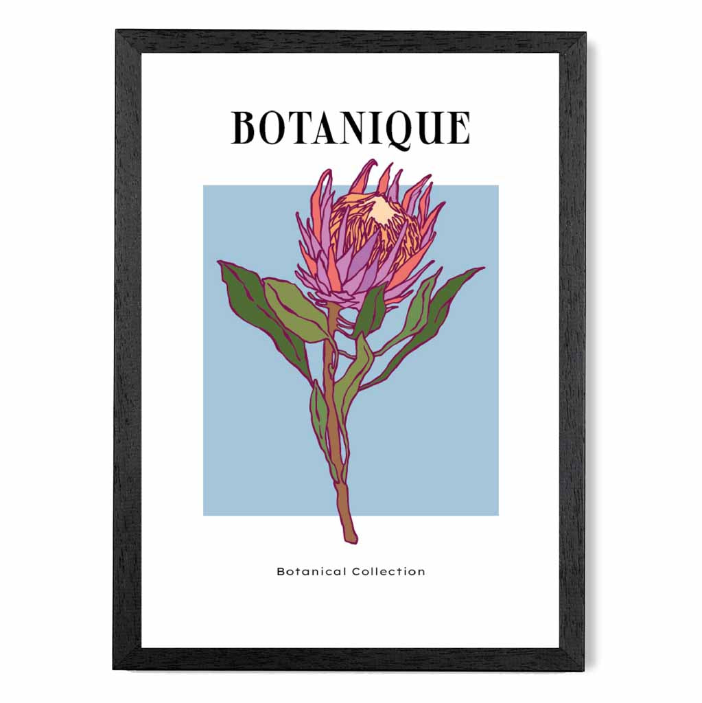 Modern Floral Blue, Pink Protea Flower Art Poster | Wall Art Plaza UK