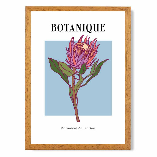 Modern Floral Blue, Pink Protea Flower Art Poster | Wall Art Plaza UK