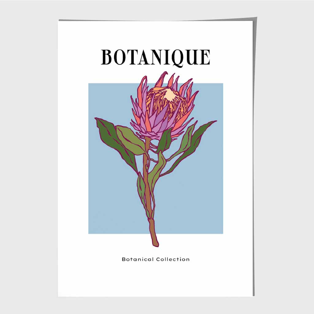 Modern Floral Blue, Pink Protea Flower Art Poster | Wall Art Plaza UK