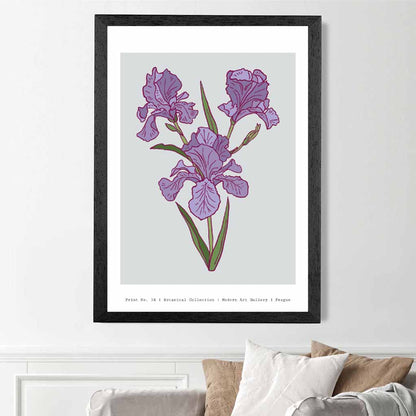 Modern Floral Grey, Purple Prague Iris Art Print | Wall Art Plaza UK