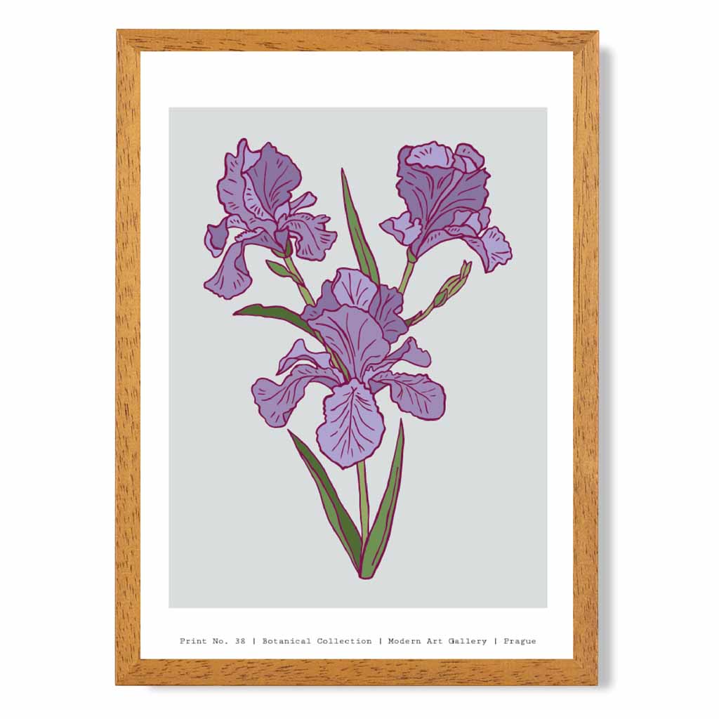 Modern Floral Grey, Purple Prague Iris Art Print | Wall Art Plaza UK