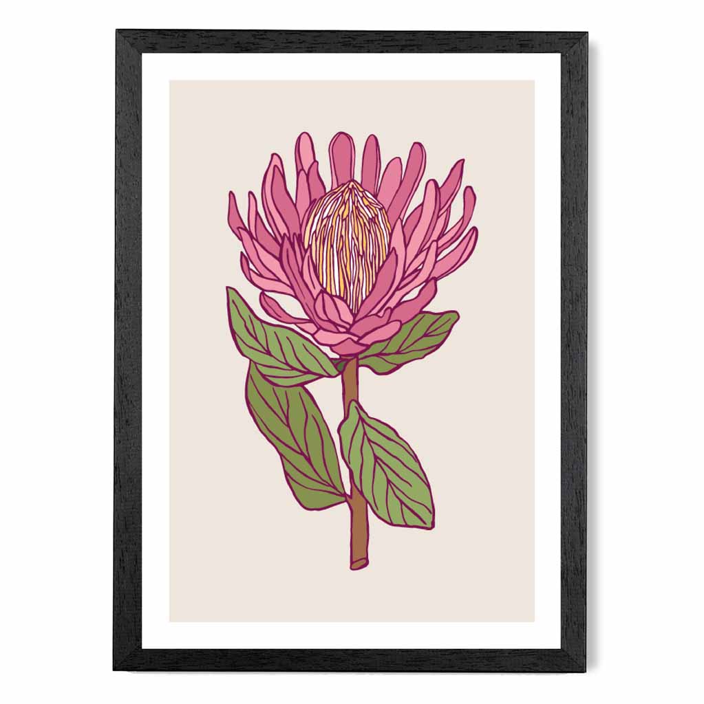 Vintage Floral Beige, Pink Protea Flower Art Poster | Wall Art Plaza UK