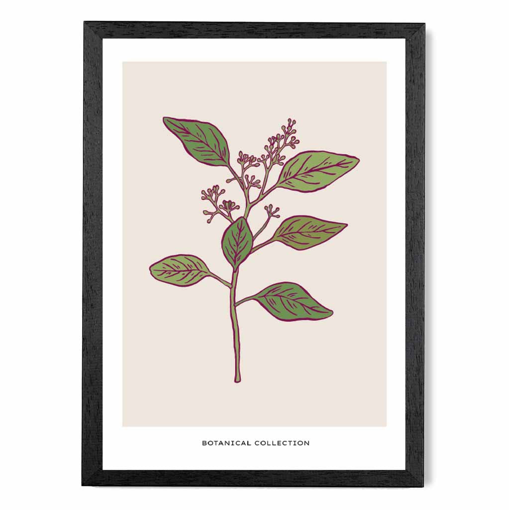 Vintage Floral Beige, Green Quinine Bark Art Poster | Wall Art Plaza UK